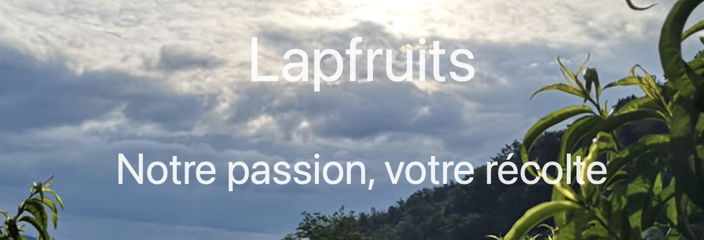 LAPFRUIT LAPFRUIT