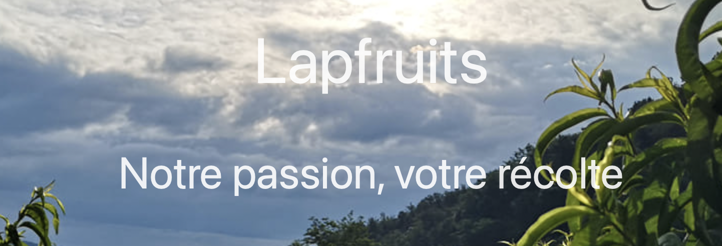 LAPFRUIT